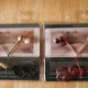 Illustration for article titled Hands on With the V-Moda Vibe Colored Earbuds